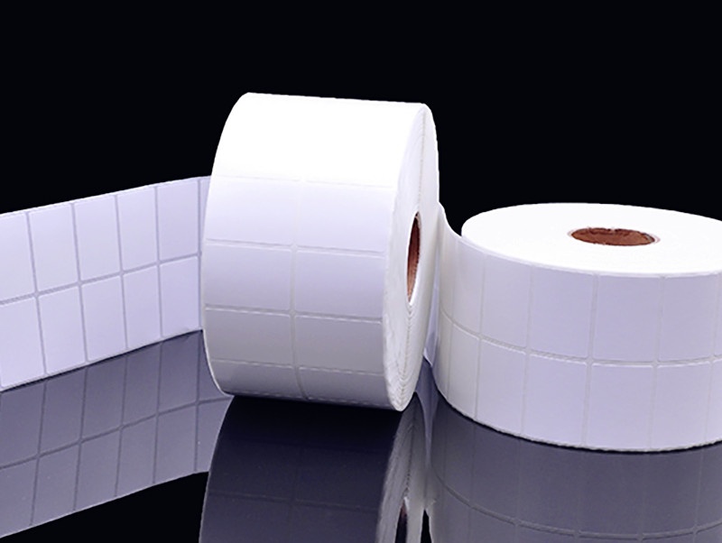 空白的斑马标签